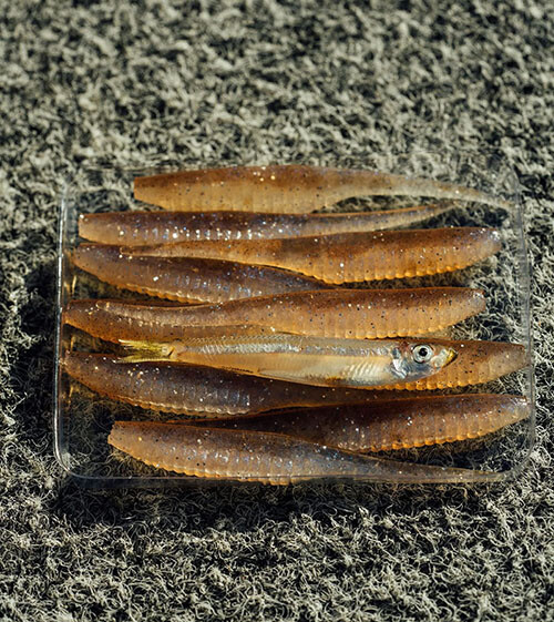 Maket Balık Seçimi ve Aksiyon Türleri