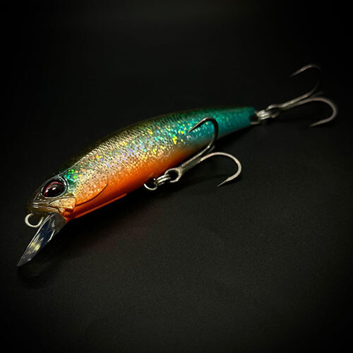 Maket Balık Seçimi ve Aksiyon Türleri