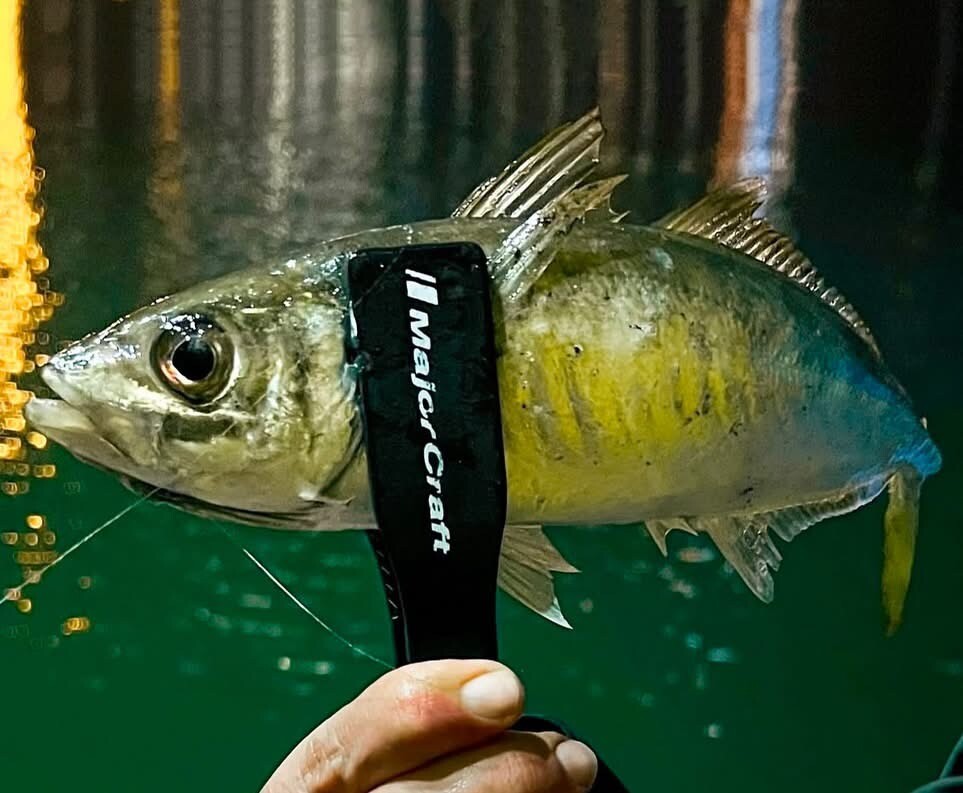 Ultra Hafif Spin (Ajing)