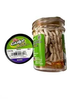 Berkley Glup Alive Waxies/Asticots Sıvılı Silikon Kurt - 1