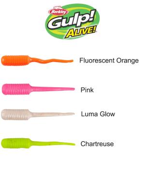 Berkley Gulp Alive Fish Fry 2cm LRF Silikon Yemi - 2