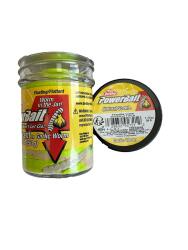 Berkley Power Bait Natural Scent Garlic Worm - Tequila Lime - Berkley