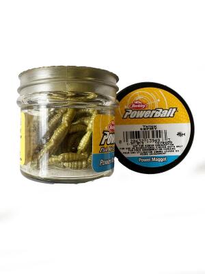 Berkley Powerbait Power Maggot Yellow 110 Adet - 1