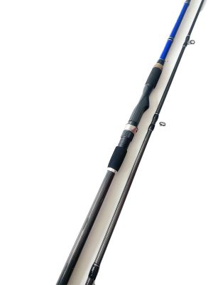 Captain Blue Spin 2 Parça Shore Jig Kamışı 290cm 15-70gr - 2