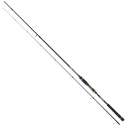 Daiwa - Daiwa BG SEABASS 2.44M 7-28g Spin Olta Kamışı 