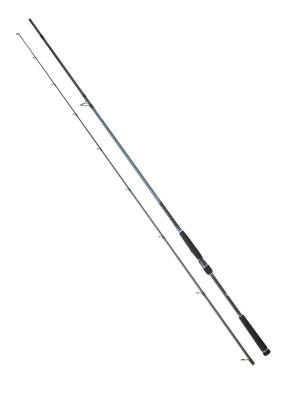 Daiwa Caldia Seabass Classic II 244cm 14-42gr Spin Olta Kamışı - 1
