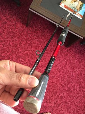 Daiwa Crossfire New 270cm 10-35g Spin Kamış - 2
