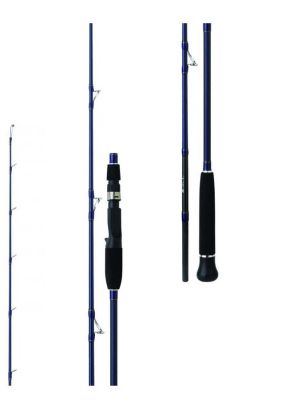Daiwa Exceler Oceano 198cm 250gr Tetikli Jig Olta Kamışı 2P. - 2