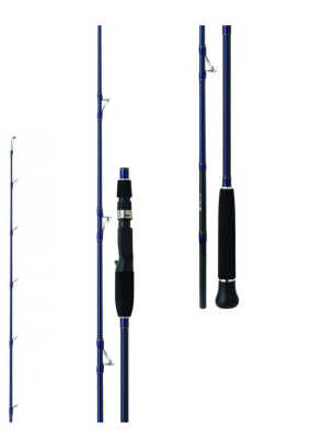 Daiwa Exceler Oceano 198cm 250gr Tetikli Jig Olta Kamışı 2P. - 2