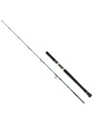 Daiwa Grandwave 168cm 100-300gr Olta Kamışı - Daiwa