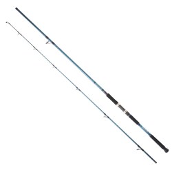 Daiwa Grandwave 3.05M 60-120g 2P Shore Jig Olta Kamışı - Daiwa