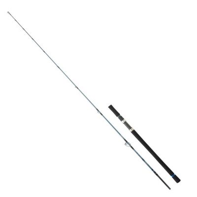Daiwa Grandwave SJ 1.98M 180g 2P Jig Kamış - 1
