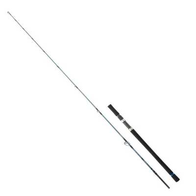 Daiwa Grandwave SJ 1.98M 180g 2P Jig Kamış - 1