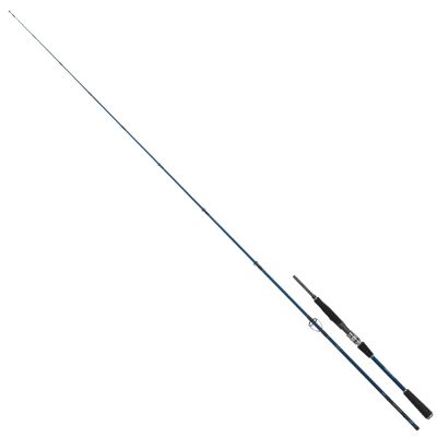 Daiwa Infeet Seabass Serisi 282cm 14-42g Olta Kamışı - 1
