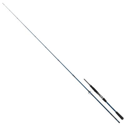 Daiwa Infeet Seabass Serisi 282cm 14-42g Olta Kamışı