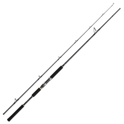 Daiwa Jig Caster MX 96MH 290cm 25-90g Jig Kamışı