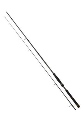 Daiwa New Bg Seabass 2.50m 10-35gr 2p Spin Olta Kamışı - 1