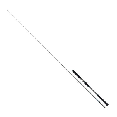 Daiwa Saltist Jigging 1.91m 90-210g 2P Jig Olta Kamışı - 1