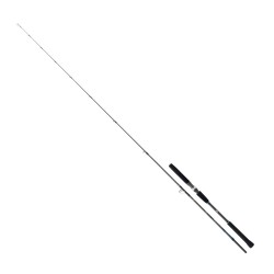 Daiwa Saltist Jigging 1.91m 90-210g 2P Jig Olta Kamışı - Daiwa