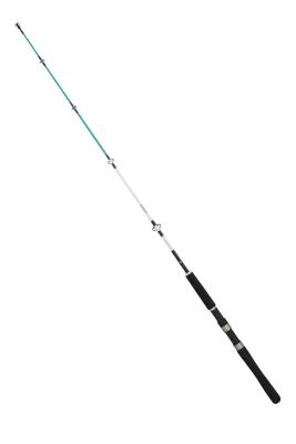 Daiwa Sensor Palangrotte Serisi 121cm 50-100gr Olta Kamışı  - 1