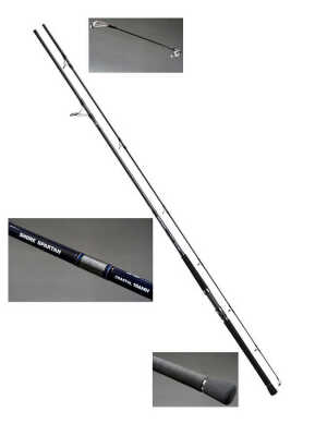 Daiwa Shore Spartan Coastal 2.90m 40-120g 2P Shore Jig Olta Kamışı - 1