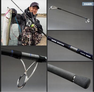 Daiwa Shore Spartan Coastal 97 MH 2.92m 25-90g 2P Shore Jig Olta Kamışı - 1