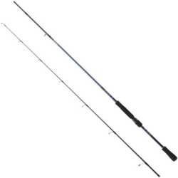 Daiwa Team Daiwa 2.44m 7-28g Spin Kamış - Daiwa