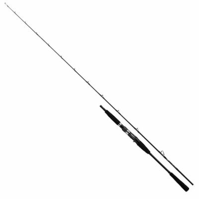 Daiwa Vadel Bay Jigging 200cm 90-180cm Olta Kamışı - 1