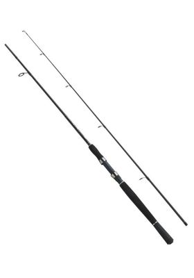Fladen Xtra Flexx Spin Kamış 270cm 15-40gr - 1