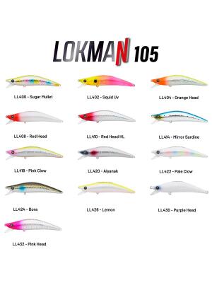 Hanfish Lokman 105mm 15.5gr LL Maket Balık - 2