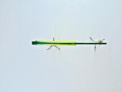 Hayabusa FS 441 Jack Eye Frilly Metal Vibrasyon 20gr Suni Yem - 4