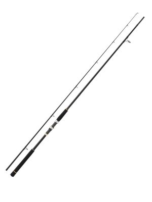 Major Craft Firstcast FCS-962LSJ Light Shore Game Jig Kamışı 290cm 15-50gr - 1
