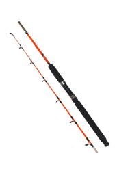 Remixon Pagrus 1.50m 60-120gr Bot Kamışı - 1