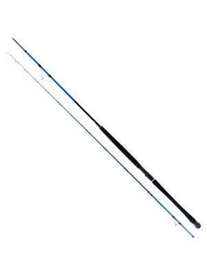 Ryuji Shore Game Fuji 2.95m 30-100gr 2P Shore Jig Kamış - 1