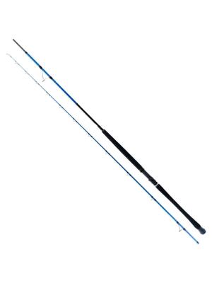 Ryuji Shore Game Fuji 2.95m 30-100gr 2P Shore Jig Kamış - 1