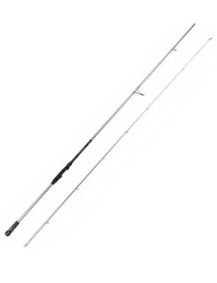 Savage gear Salt CCS 290 cm 60gr 2 Parça Spin Kamış - 1