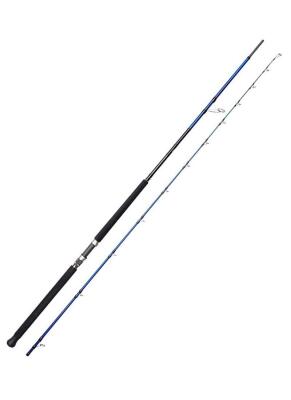 Savage Gear SGS6 Shore Jigging 3.05m 30-100gr 2 Parça Kamış - 1