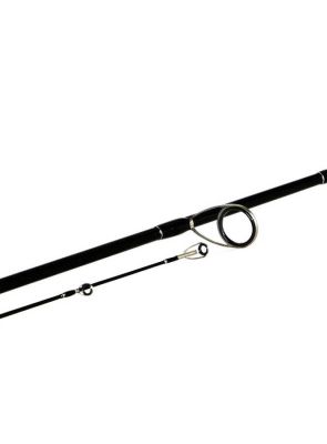 Shimano Bassterra Sea Bass 274cm 12-38gr Spin Olta Kamışı - 2
