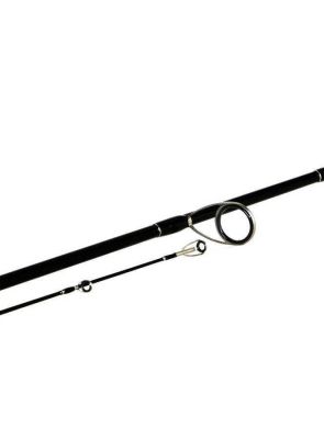 Shimano Bassterra Sea Bass 289cm 15-60gr Spin Olta Kamışı - 2