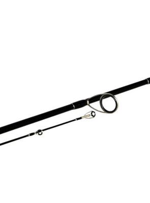 Shimano Bassterra Sea Bass 289cm 15-60gr Spin Olta Kamışı - 2
