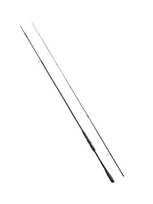 Shimano Kamış Exsence Infinity 2.90m 6-40g 2pc Olta Kamışı - 1