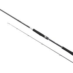 Shimano Moonshot Spinning Inshore 2.90m Plug 10-52g Jig Max 60g Kamış - 2