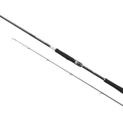 Shimano Moonshot Spinning Inshore 2.90m Plug 10-52g Jig Max 60g Kamış - 2