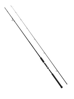 Shimano Salty Advance Spinning Sea Bass 2.90m 6-32gr Olta Kamışı - 1